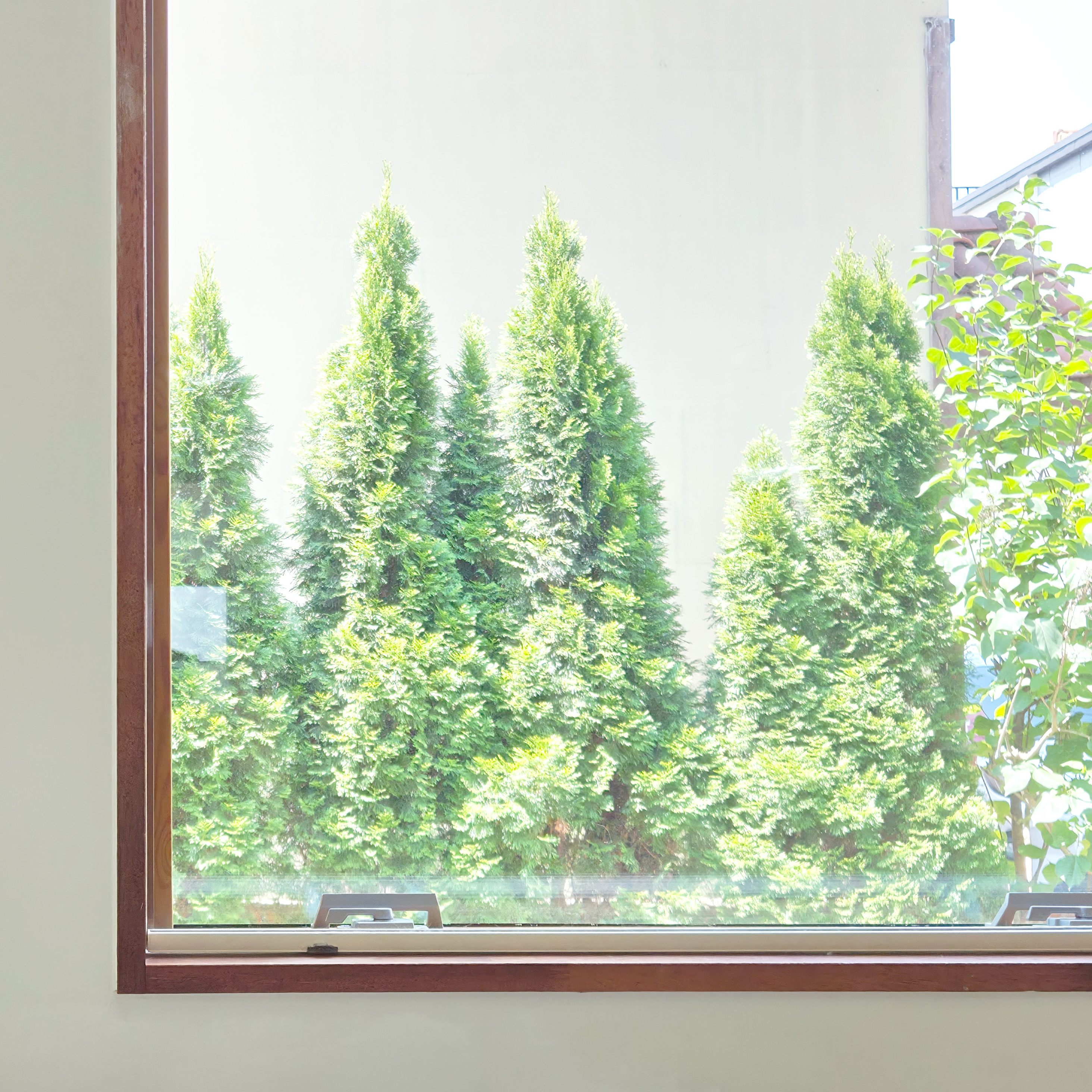 화성시 동탄 단독주택 이미지 1